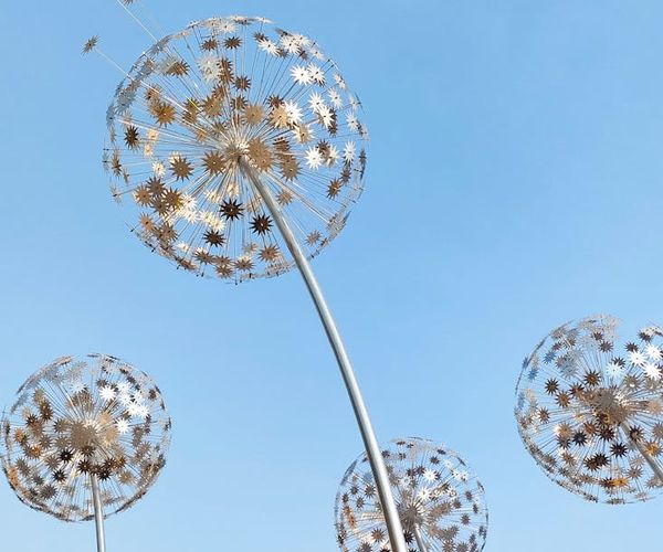 Symbolic representation of clear and comfortable vision